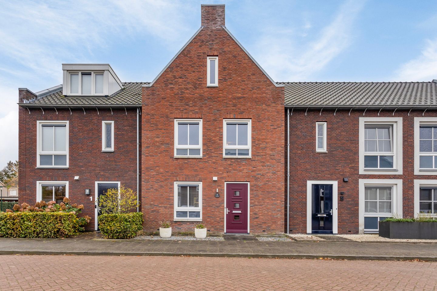 Foto 1 van Struisgras 3