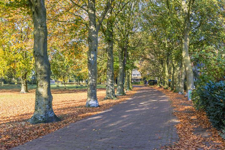 Bekijk foto 39 van Scholverbos 60