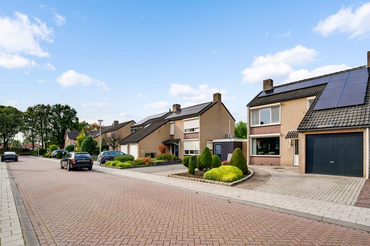 Foto 30 van Meidoornlaan 9