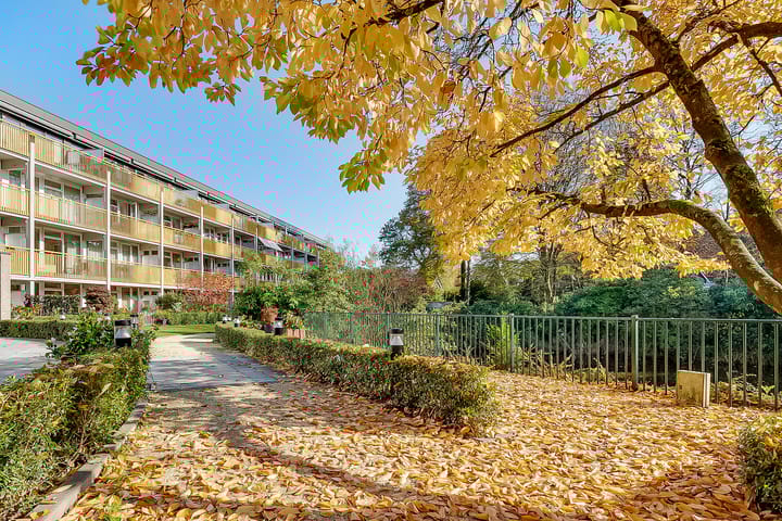 Foto 30 van Park Boswijk 570