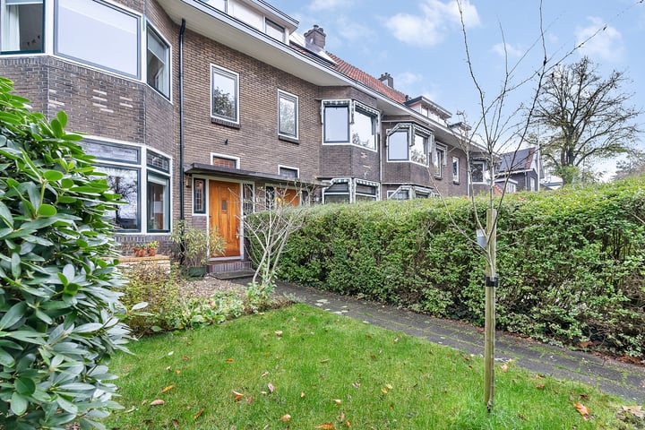 Bekijk foto 30 van Westerlaan 18