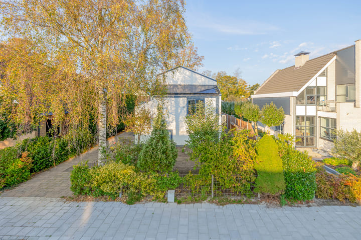 Foto 51 van Aldebaran 40