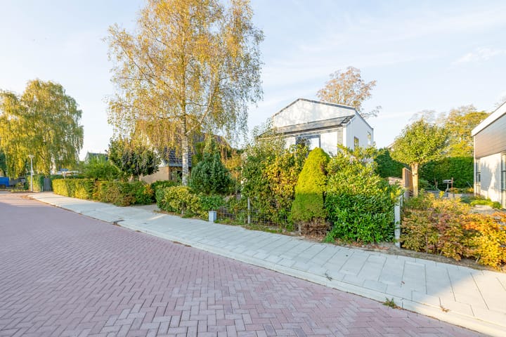 Foto 53 van Aldebaran 40