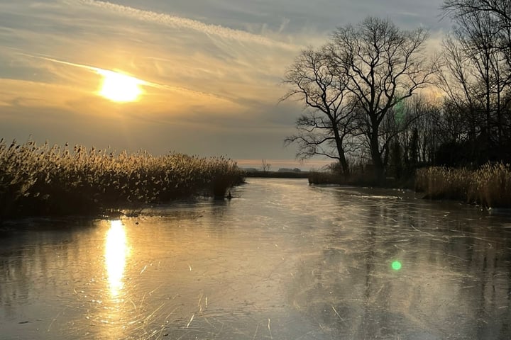 Bekijk foto 67 van Cathalijne Schans 52