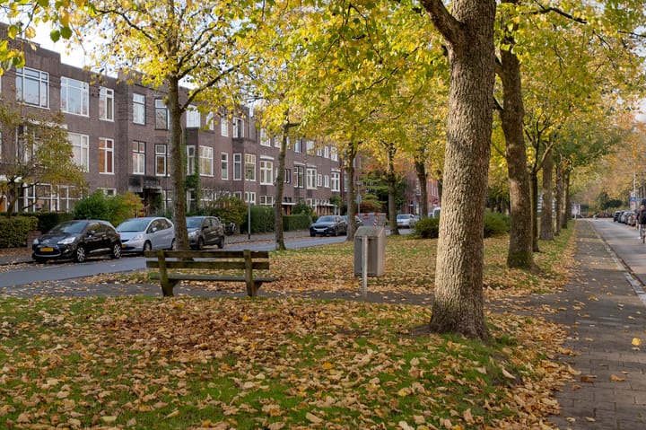 Foto 60 van Nassaulaan 27