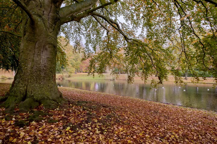 Foto 62 van Nassaulaan 27