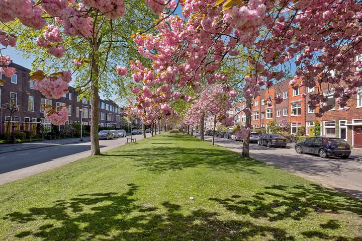 Foto 64 van Nassaulaan 27