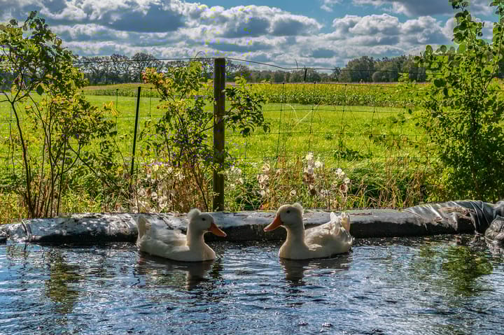 Photo 73 of Vriezerweg 11