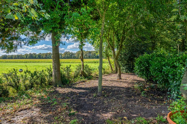 Photo 74 of Vriezerweg 11