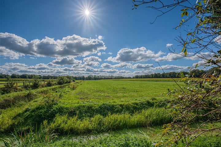 Bekijk foto 75 van Vriezerweg 11