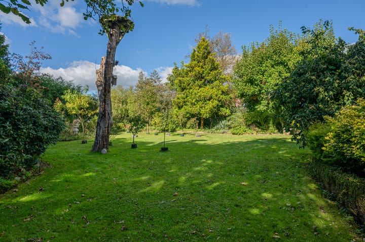 Photo 80 of Vriezerweg 11