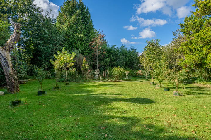 Photo 81 of Vriezerweg 11