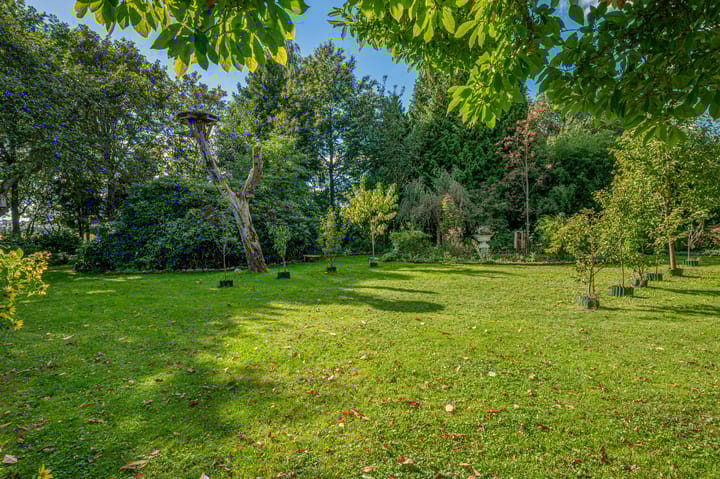 Photo 86 of Vriezerweg 11