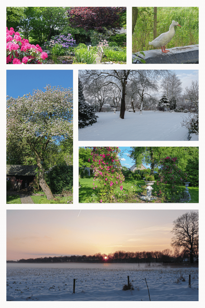 Photo 90 of Vriezerweg 11