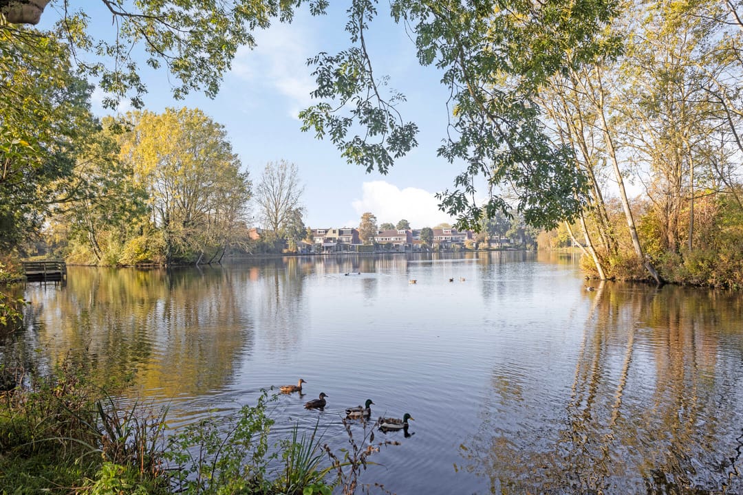 Foto 28 van Rietsingel 55