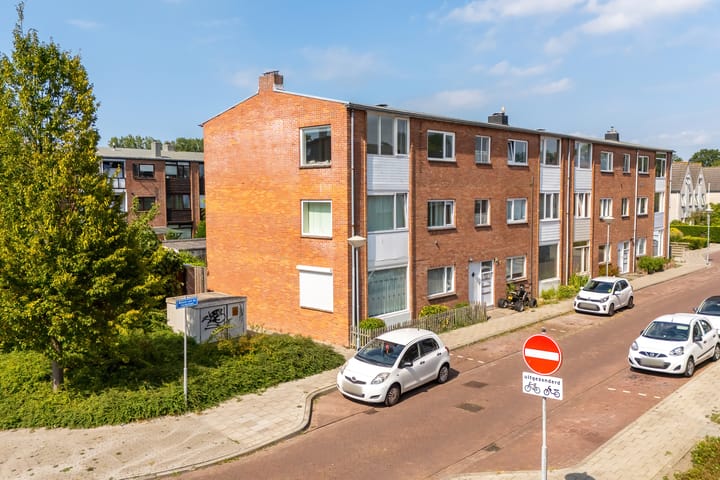 undefined main image