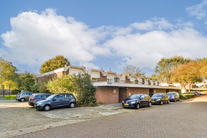 Foto 2 van Fakkelgras 35