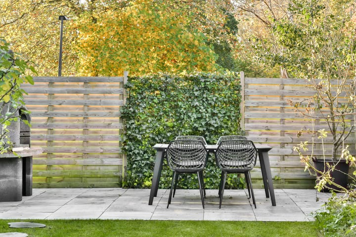 Foto 14 van Fakkelgras 35