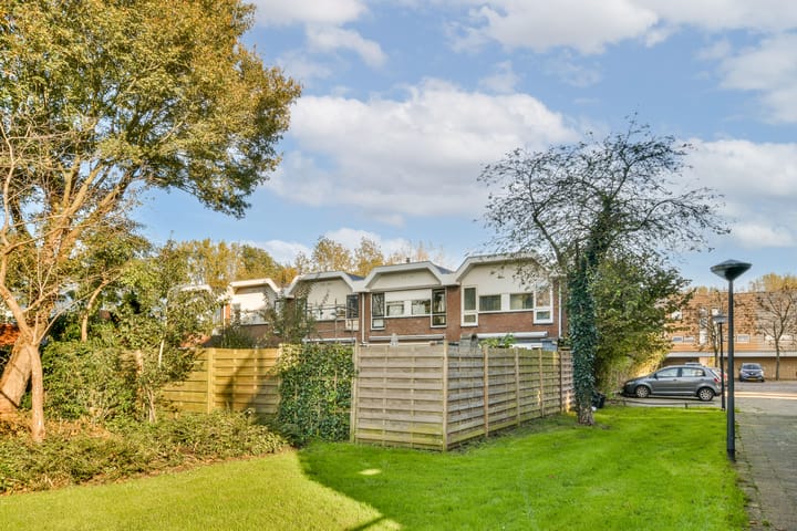 Foto 27 van Fakkelgras 35