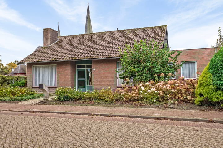 undefined main image