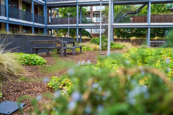 Foto 1 van Suze Robertsonstraat 25