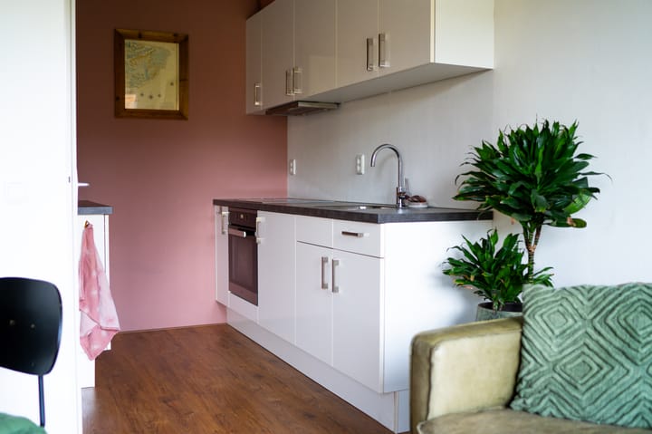 Foto 3 van Suze Robertsonstraat 25