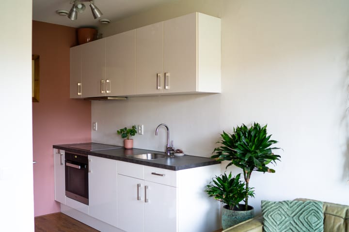 Foto 15 van Suze Robertsonstraat 25