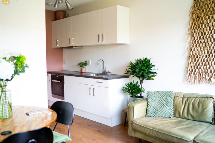 Foto 17 van Suze Robertsonstraat 25