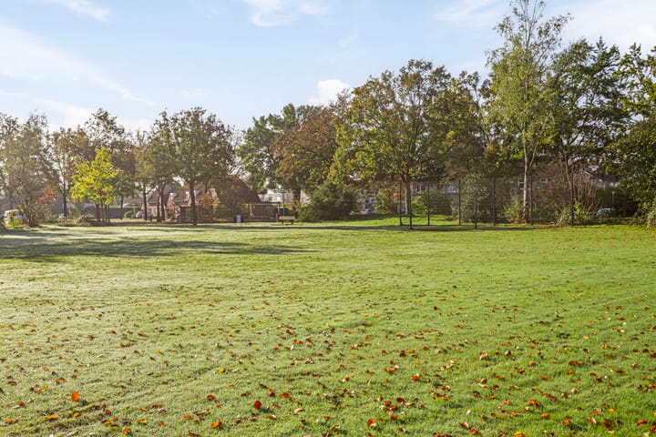 Foto 55 van Wilack 209