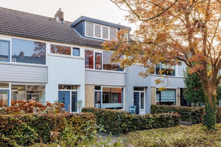 Bekijk foto 47 van Lodewijk de Vromestraat 6