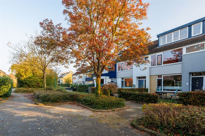 Bekijk foto 49 van Lodewijk de Vromestraat 6