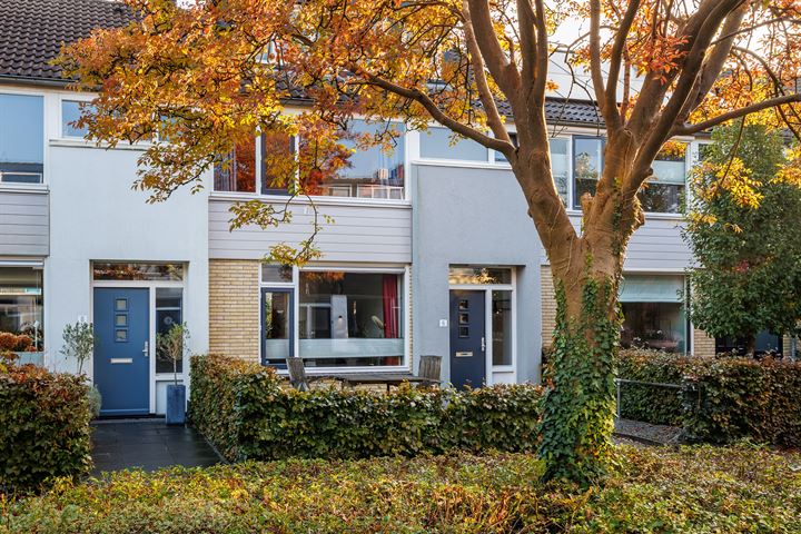 Bekijk foto 51 van Lodewijk de Vromestraat 6