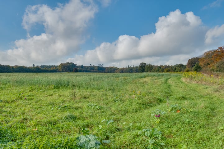 Bekijk foto 42 van Harderwijkerweg 14