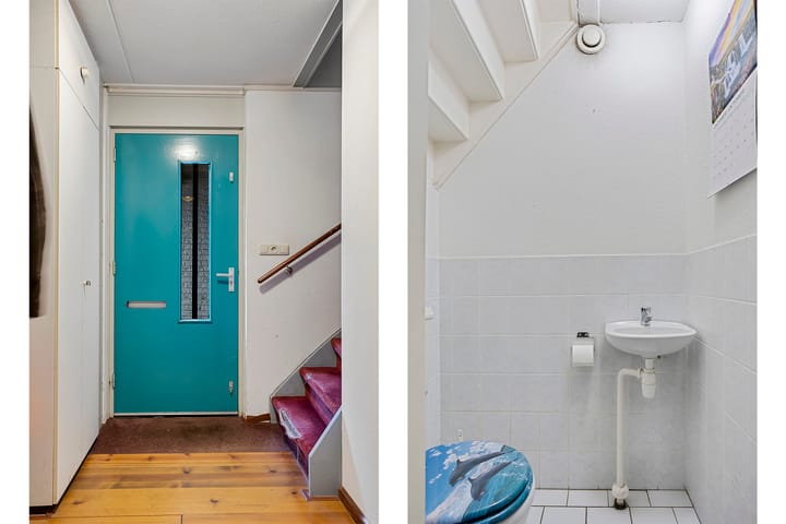 Foto 12 van Noordse Stern 5