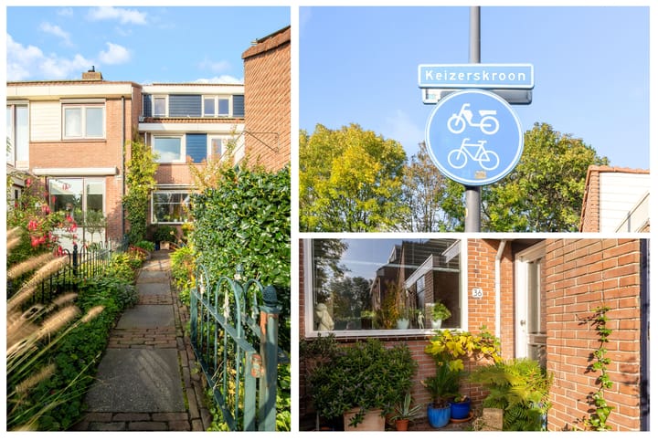 Foto 2 van Keizerskroon 36