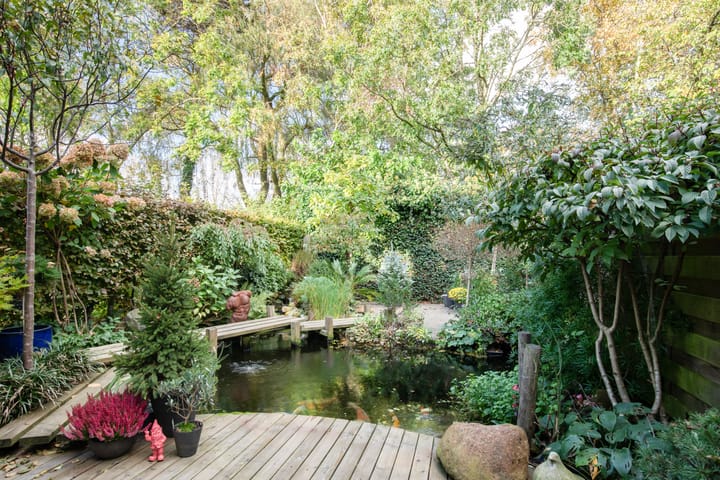 Foto 25 van Keizerskroon 36