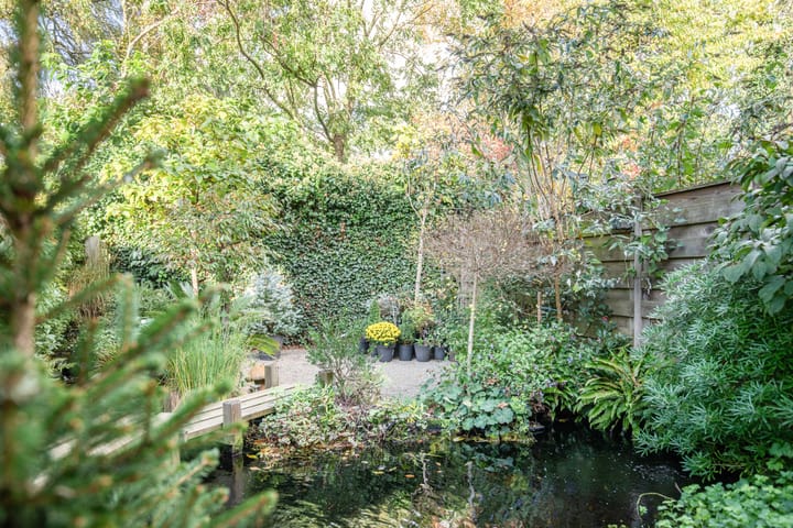 Foto 29 van Keizerskroon 36