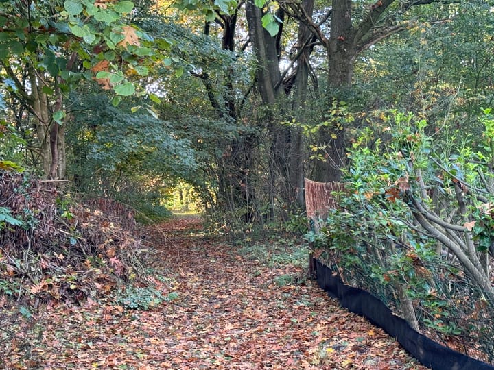 Foto 3 van Amerika 10-R100