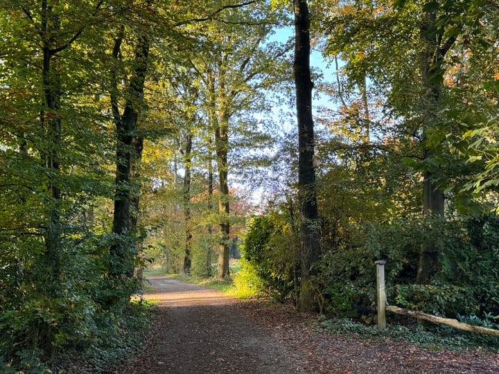 Foto 4 van Amerika 10-R100