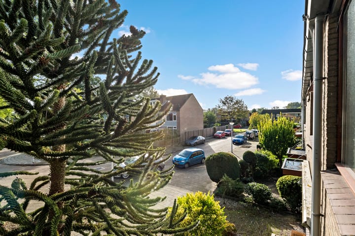 Foto 39 van Zomerdijkhof 2