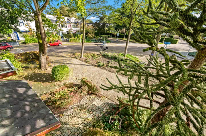 Foto 40 van Zomerdijkhof 2