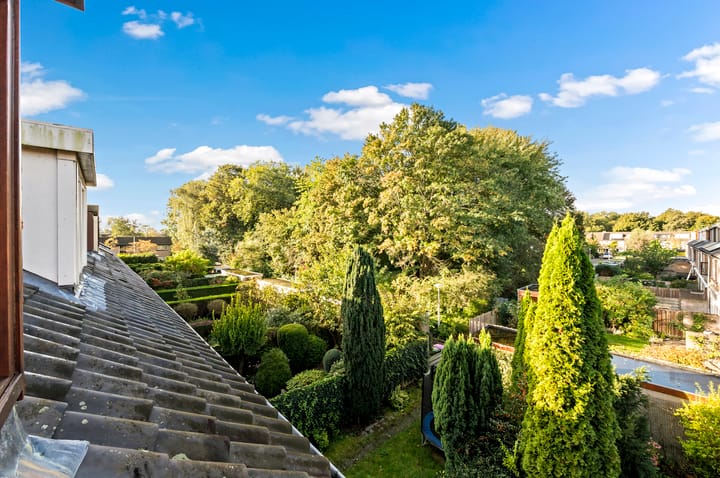 Foto 46 van Zomerdijkhof 2