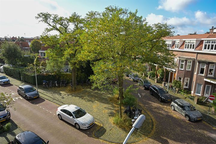 View photo 3 of Lijsterbesstraat 169