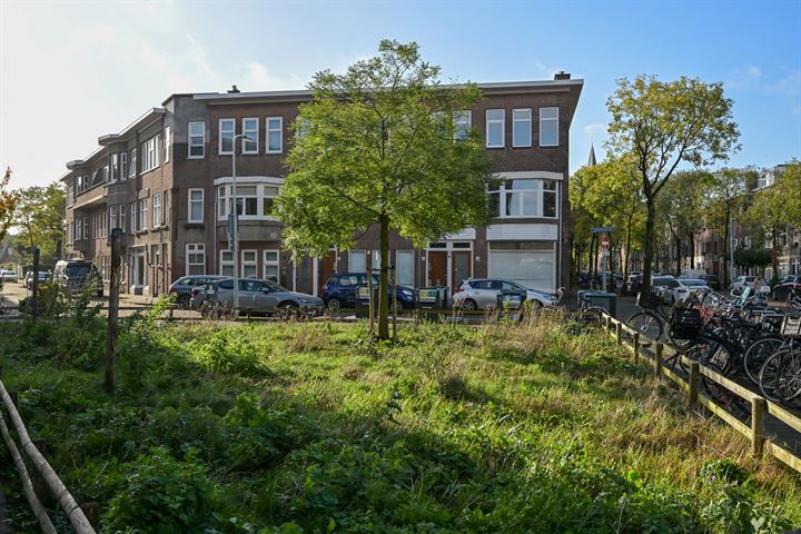 View photo 39 of Lijsterbesstraat 169