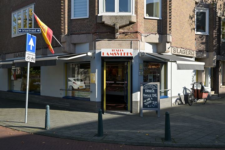 View photo 44 of Lijsterbesstraat 169