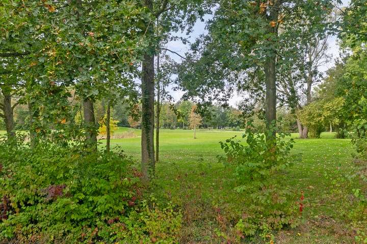 Foto 47 van Grevelingenhout 41