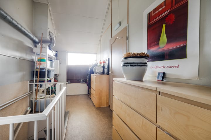 Foto 20 van Distelvlinder 5