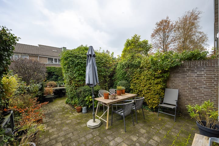 Foto 24 van Distelvlinder 5