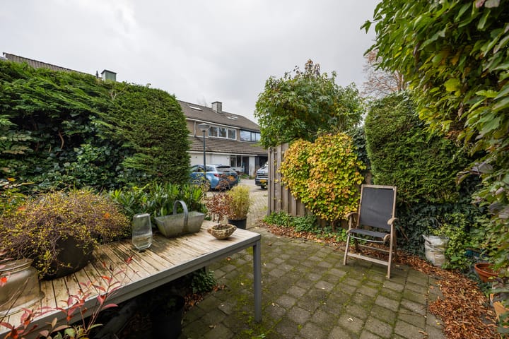 Foto 25 van Distelvlinder 5