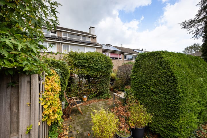 Foto 26 van Distelvlinder 5